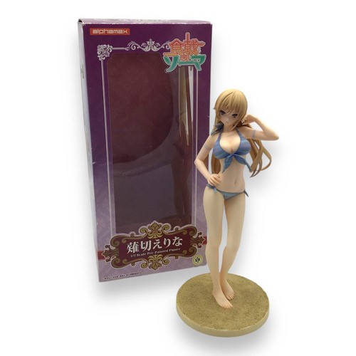Alphamax erina nakiri - nakiri, beach